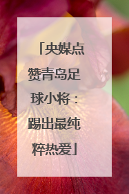 央媒点赞青岛足球小将：踢出最纯粹热爱
