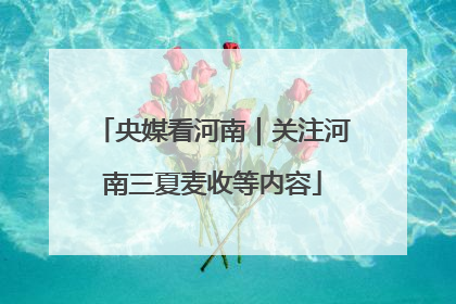 央媒看河南｜关注河南三夏麦收等内容