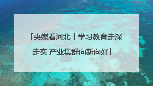 央媒看河北丨学习教育走深走实 产业集群向新向好