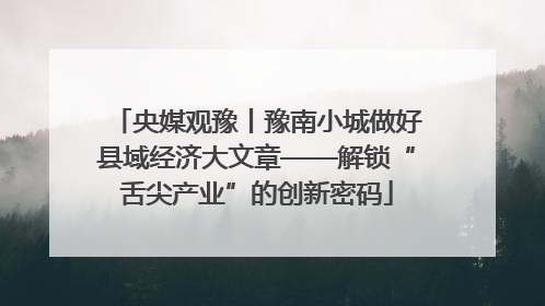 央媒观豫丨豫南小城做好县域经济大文章——解锁“舌尖产业”的创新密码