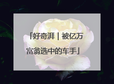 好奇湃｜被亿万富翁选中的车手