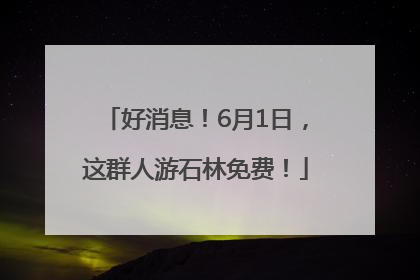 好消息！6月1日，这群人游石林免费！