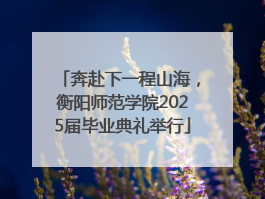 奔赴下一程山海，衡阳师范学院2025届毕业典礼举行