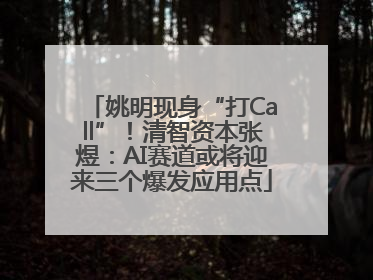 姚明现身“打Call”！清智资本张煜：AI赛道或将迎来三个爆发应用点