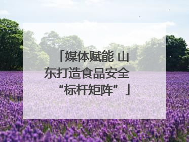媒体赋能 山东打造食品安全“标杆矩阵”