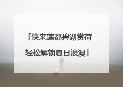 快来莲都碧湖赏荷 轻松解锁夏日浪漫