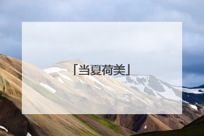 当夏荷美