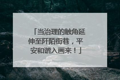 当治理的触角延伸至阡陌街巷，平安和谐入画来！
