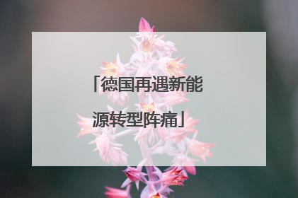 德国再遇新能源转型阵痛