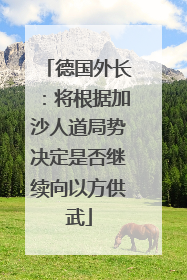德国外长：将根据加沙人道局势决定是否继续向以方供武