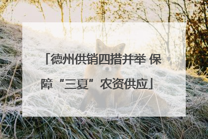 德州供销四措并举 保障“三夏”农资供应