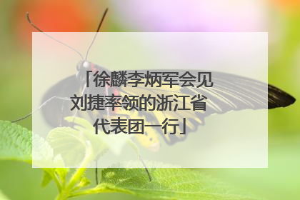 徐麟李炳军会见刘捷率领的浙江省代表团一行