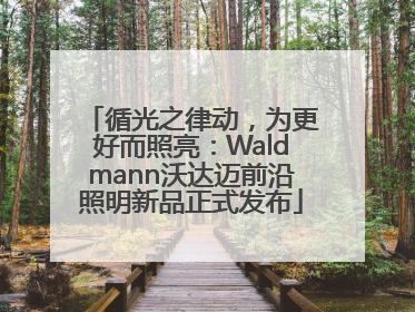 循光之律动，为更好而照亮：Waldmann沃达迈前沿照明新品正式发布