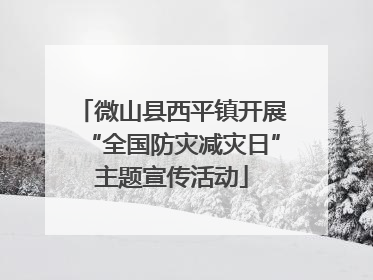 微山县西平镇开展“全国防灾减灾日”主题宣传活动