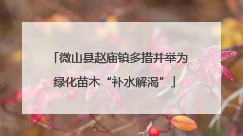 微山县赵庙镇多措并举为绿化苗木“补水解渴”
