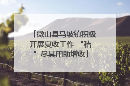 微山县马坡镇积极开展夏收工作 “秸”尽其用助增收