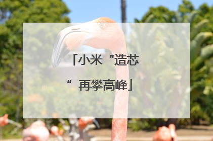 小米“造芯”再攀高峰