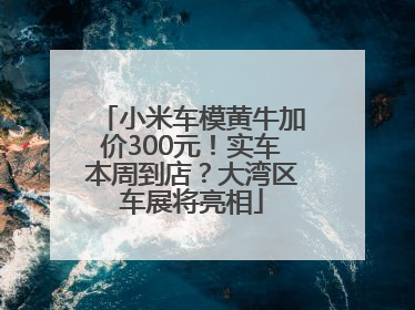 小米车模黄牛加价300元！实车本周到店？大湾区车展将亮相
