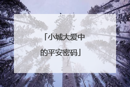小城大爱中的平安密码