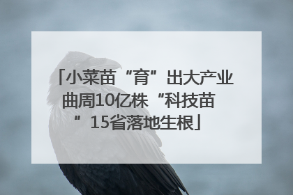 小菜苗“育”出大产业 曲周10亿株“科技苗”15省落地生根