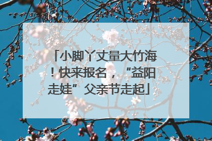 小脚丫丈量大竹海！快来报名，“益阳走娃”父亲节走起