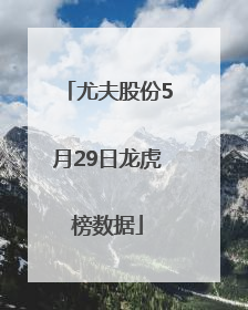 尤夫股份5月29日龙虎榜数据