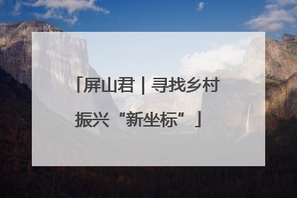 屏山君｜寻找乡村振兴“新坐标”