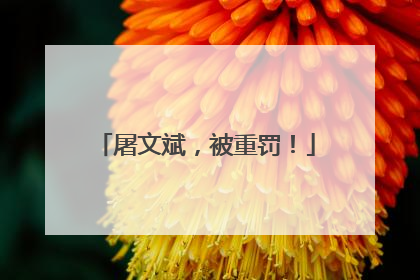 屠文斌，被重罚！