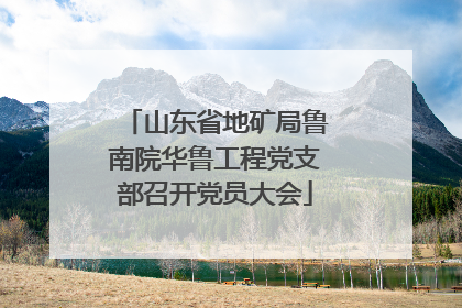 山东省地矿局鲁南院华鲁工程党支部召开党员大会