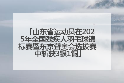 山东省运动员在2025年全国残疾人羽毛球锦标赛暨东京聋奥会选拔赛中斩获3银1铜
