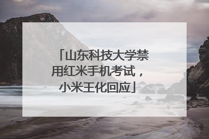 山东科技大学禁用红米手机考试，小米王化回应