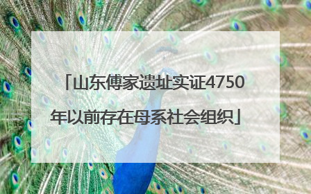 山东傅家遗址实证4750年以前存在母系社会组织