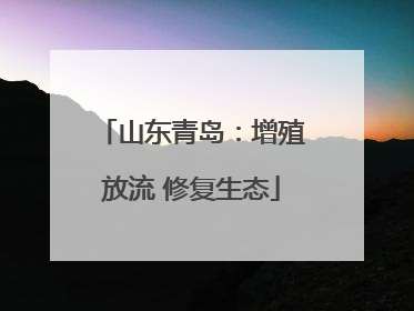 山东青岛：增殖放流 修复生态