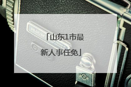 山东1市最新人事任免