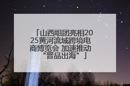 山西组团亮相2025黄河流域跨境电商博览会 加速推动“晋品出海”