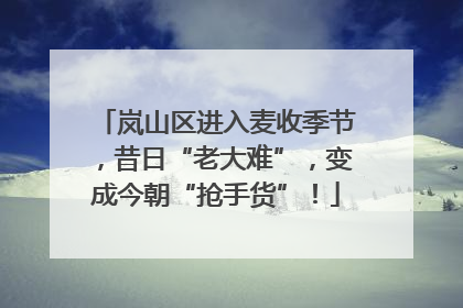 岚山区进入麦收季节，昔日“老大难”，变成今朝“抢手货”！