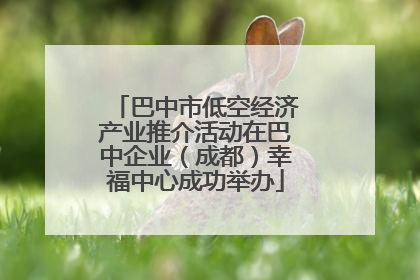 巴中市低空经济产业推介活动在巴中企业（成都）幸福中心成功举办