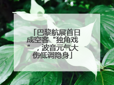 巴黎航展首日成空客“独角戏”，波音元气大伤低调隐身