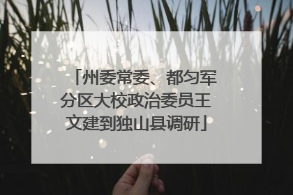 州委常委、都匀军分区大校政治委员王文建到独山县调研