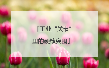 工业“关节”里的硬核突围