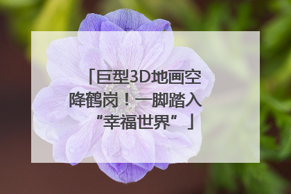 巨型3D地画空降鹤岗！一脚踏入“幸福世界”