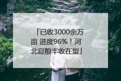 已收3000余万亩 进度96%！河北夏粮丰收在望