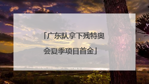 广东队拿下残特奥会夏季项目首金