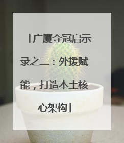 广厦夺冠启示录之二：外援赋能，打造本土核心架构