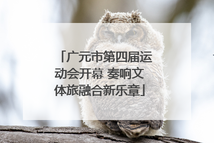 广元市第四届运动会开幕 奏响文体旅融合新乐章