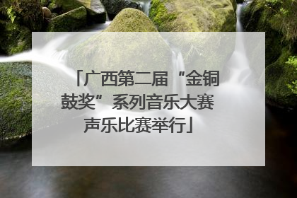 广西第二届“金铜鼓奖”系列音乐大赛声乐比赛举行