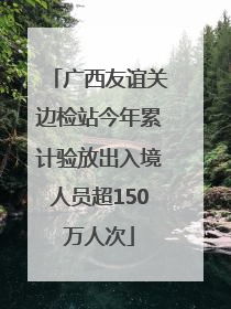 广西友谊关边检站今年累计验放出入境人员超150万人次