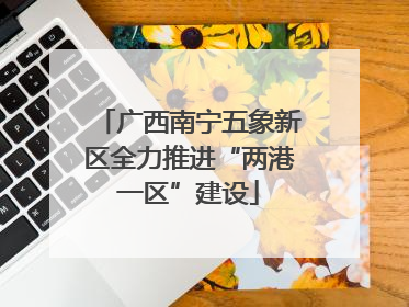 广西南宁五象新区全力推进“两港一区”建设