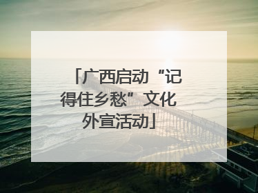 广西启动“记得住乡愁”文化外宣活动