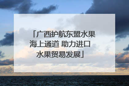 广西护航东盟水果海上通道 助力进口水果贸易发展